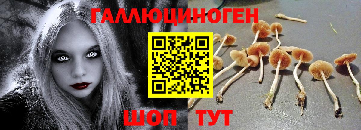 Галлюциногенные грибы Калининград